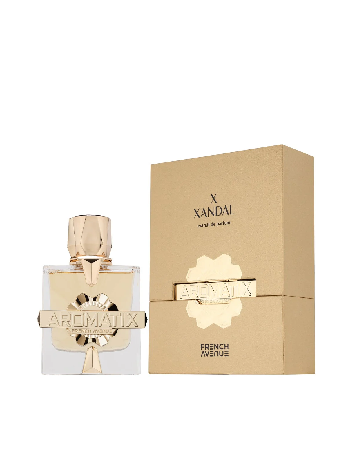French Avenue Aromatix X Xandal 100ml EDP for Men & Women