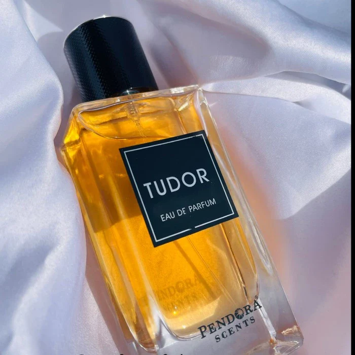 Pendora Scents Tudor 100ml EDP for Men - Image 2