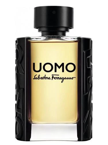 Salvatore Ferragamo Uomo 100ml EDT for Men - Image 2